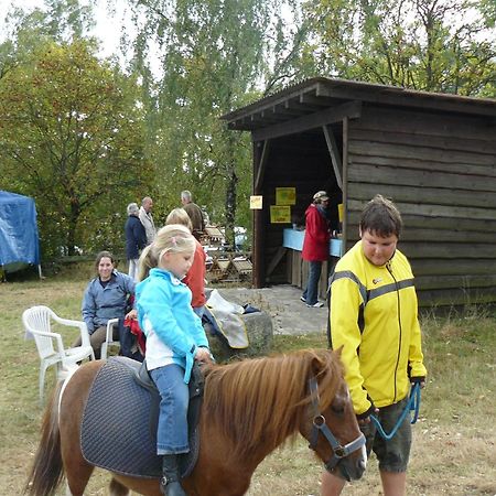 Holiday Home In Wietzendorf In The L Neburg Heath With A View Of The Countryside Buitenkant foto