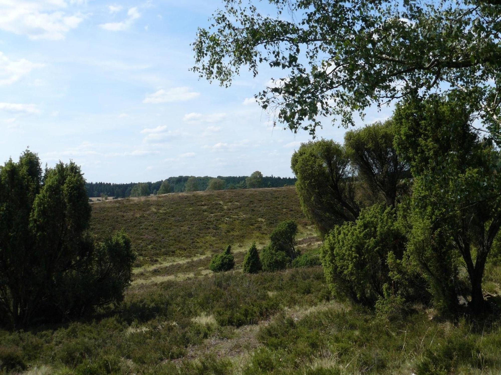 Holiday Home In Wietzendorf In The L Neburg Heath With A View Of The Countryside Buitenkant foto