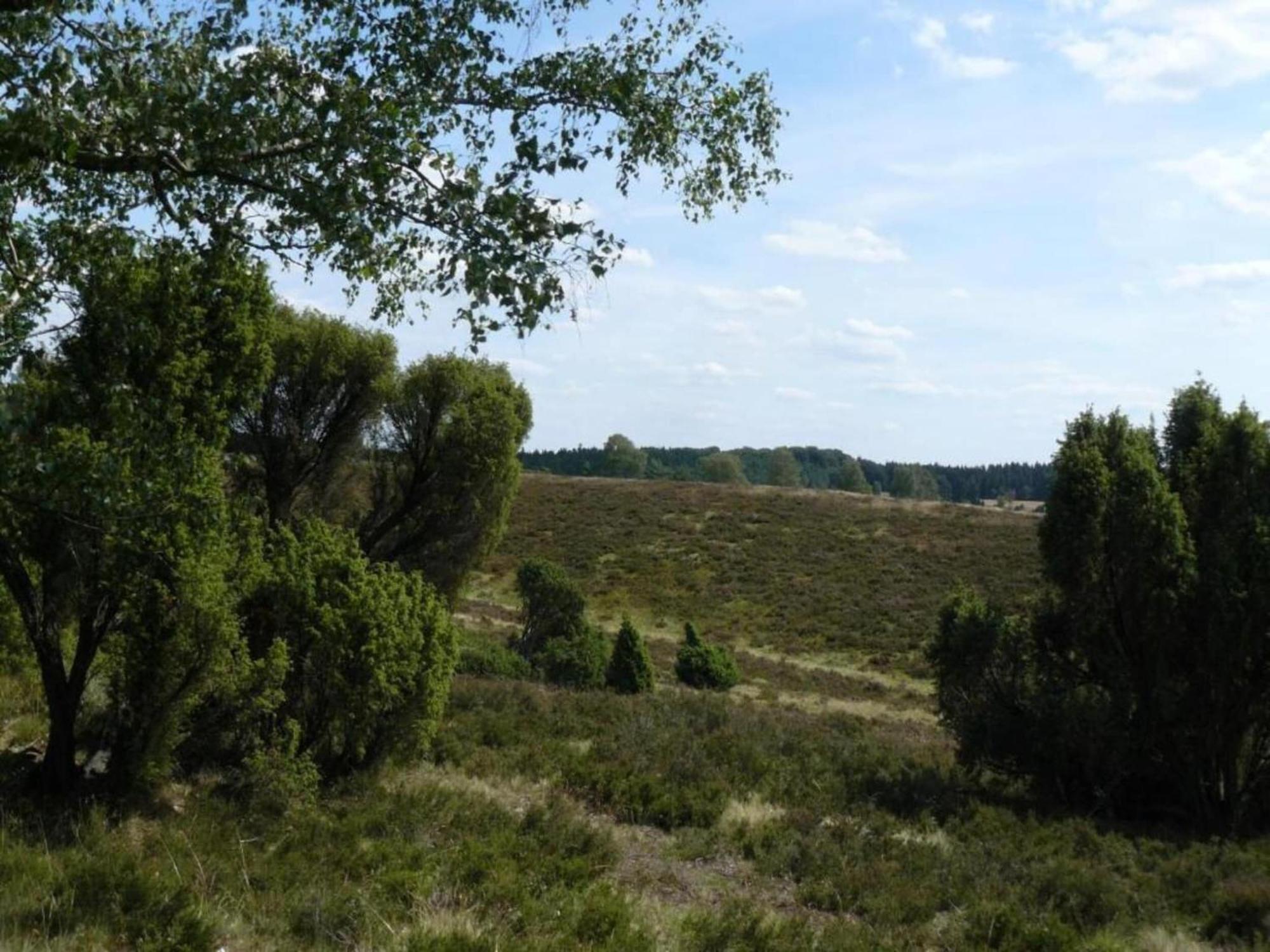 Holiday Home In Wietzendorf In The L Neburg Heath With A View Of The Countryside Buitenkant foto
